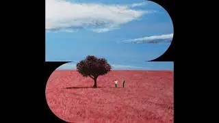 (FREE) 