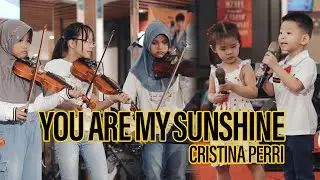 You Are My Sunshine Christina Perri Cover