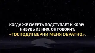 Сура 23 Al-Mu’minun | Hamza Boudib | Красивое чтение Корана
