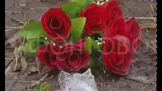 Родительский день в Красноярске