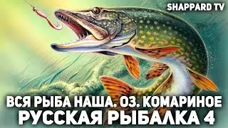 Русская рыбалка 4 🐬Новое старое оз.Комаринное🐬 НАЖИВКИ И БЛЕСЕНА🐬