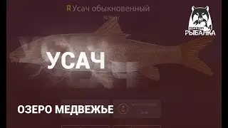 RF4! РР4! Русская Рыбалка 4! Озеро Медвежье - Усач!
