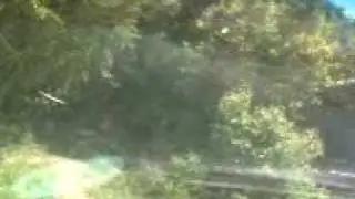 son puras lequeras