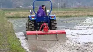 Foton lovol M704  tractor in China