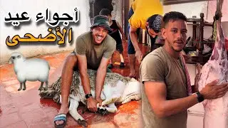 أجواء عيد الاضحى في المغرب 🇲🇦 لوليد معجبوش الحولي ديال عيد 🐑‼️