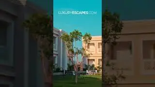 Tree of Life Vantara Resort Udaipur 😍 Call 918037836457 to book! #udaipur #luxuryescaping