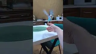 волнистый попугай