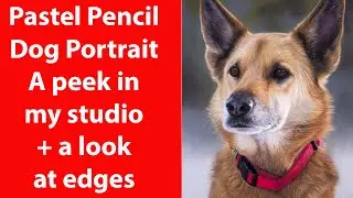 Pastel Pencil Dog Portrait: Mastering Edges in Studio Artwork | JasonMorgan.co.uk