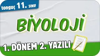 11.Sınıf Biyoloji 1.Dönem 2.Yazılıya Hazırlık 📑 