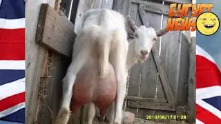 Бугурт News #1