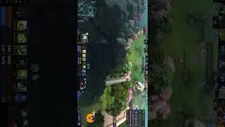 Was this luck or calculated? #dota2 #dota2highlights #hoodwink #magnus #gaming
