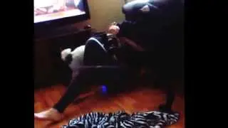 Sister Twerking