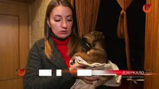 В Мариуполе хозяин издевался над щенком почти месяц