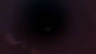 Loona Swallow you pov vore animation