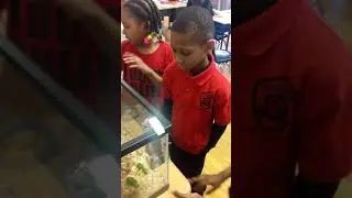 About Billie & Snack - 1st Grade KNA