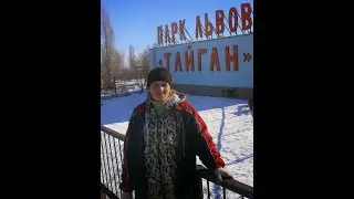 Тайган. Зимний романс. (АНОНС. Полная версия на моём новом канале. Ссылка в описании.)