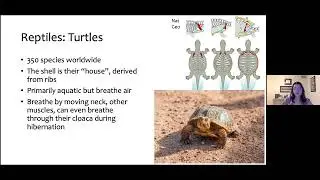 Reptiles and Amphibians of the West