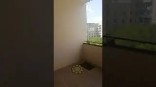 Квартира большая