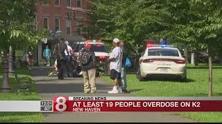 At least 20 people overdose on K2 on the New Haven Green