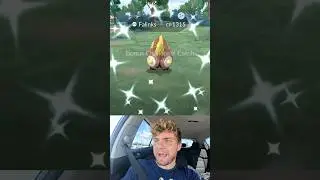 ✨I Got Back to Back SHINY Pokemon in Pokemon Go!✨ #shorts #pokemon