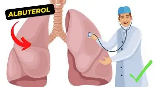 Breathing Easy: A Guide to Understanding Albuterol and its Uses