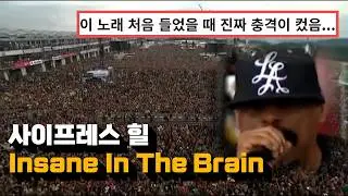 어디선가 들어본 노래 🤔 : 사이프레스 힐 - Insane In The Brain (라이브 Rock am Ring 2010) 한글 가사 해석