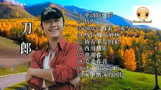 刀郎 10首经典精选金典串烧（冲动的惩罚）