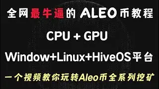 全网最牛逼的ALEO币教程，CPU + GPU，Window+Linux+HiveOS平台，一个视频教你玩转Aleo币全系列挖矿