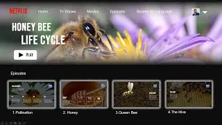 How to Make NETFLIX INSPIRED POWERPOINT Presentation Easily 🔥 Free Template
