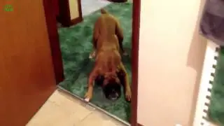 супер ролики