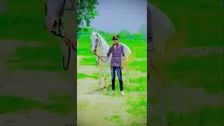 horse photography camera 🐴 photography tricks 💡#short #shorts #photography