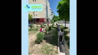 191286508 337342174631376 3586843952357775310 n