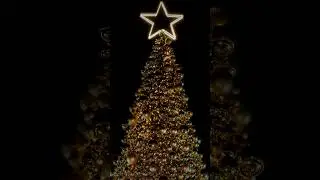 New year decoration 2024 | Rixos Sharm El Sheikh