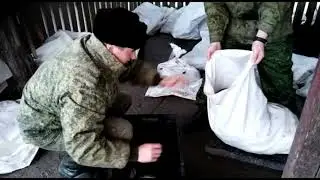 На Дону с незаконном уловом на 3,5 млн рублей задержана группа сотрудников рыболовецкой артели
