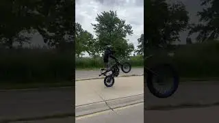 Chicago megaride