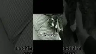 Ryan Dunn confronts Brandon Novak #bam #ryandunn #bamwheels