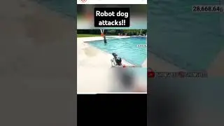 Ai dog attacks streamer!! #aivshuman