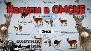 Косули напали на город!