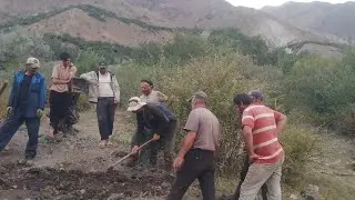 Ҳашари даста ҷамона  сохту сози  Канатка  Дар баландиҳои диёр