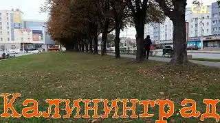 КАЛИНИНГРАД ! КРАСИВЫЙ ГОРОД! ОСЕНЬ!