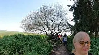 нахаль тавор