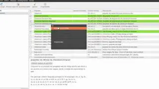 Google Chromium (Chrome) - Ubuntu 10.10 Maverick Meerkat