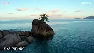 Ed Sheeran, Martin Garrix, Kygo, Alok, Dua Lipa, Avicii, The Chainsmokers Style - Summer Vibes