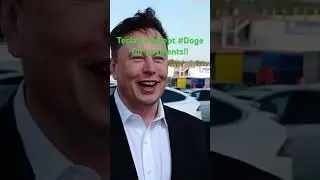 Dogecoin Recent Surge
