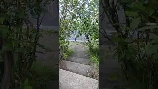 Лорд Гармадон ушел в закат)