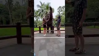 Почему Иисус ходит по воде? 