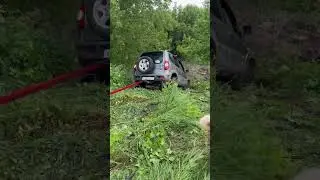 Тянем ниву из оврага 