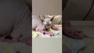 Трое малышей родились в результате кесарева сечения