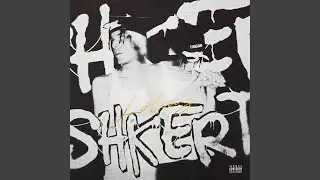 SHKЁRT