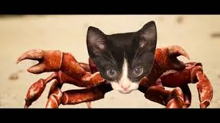 MooMoo Cat Crab Rave Party - MooMoo takes over Crab Island for a Party!